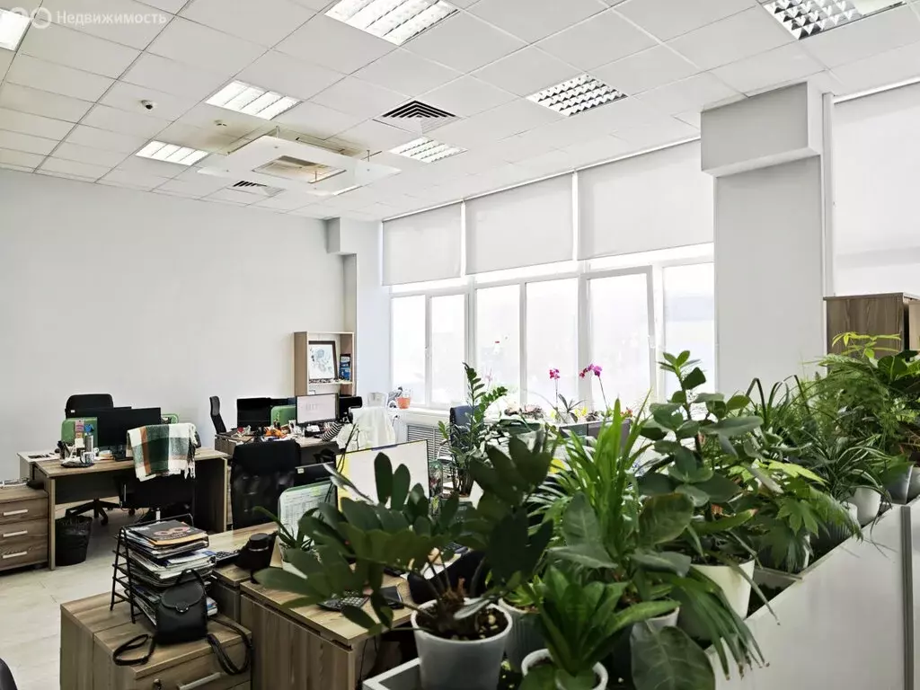 Офис (215 м) - Фото 2