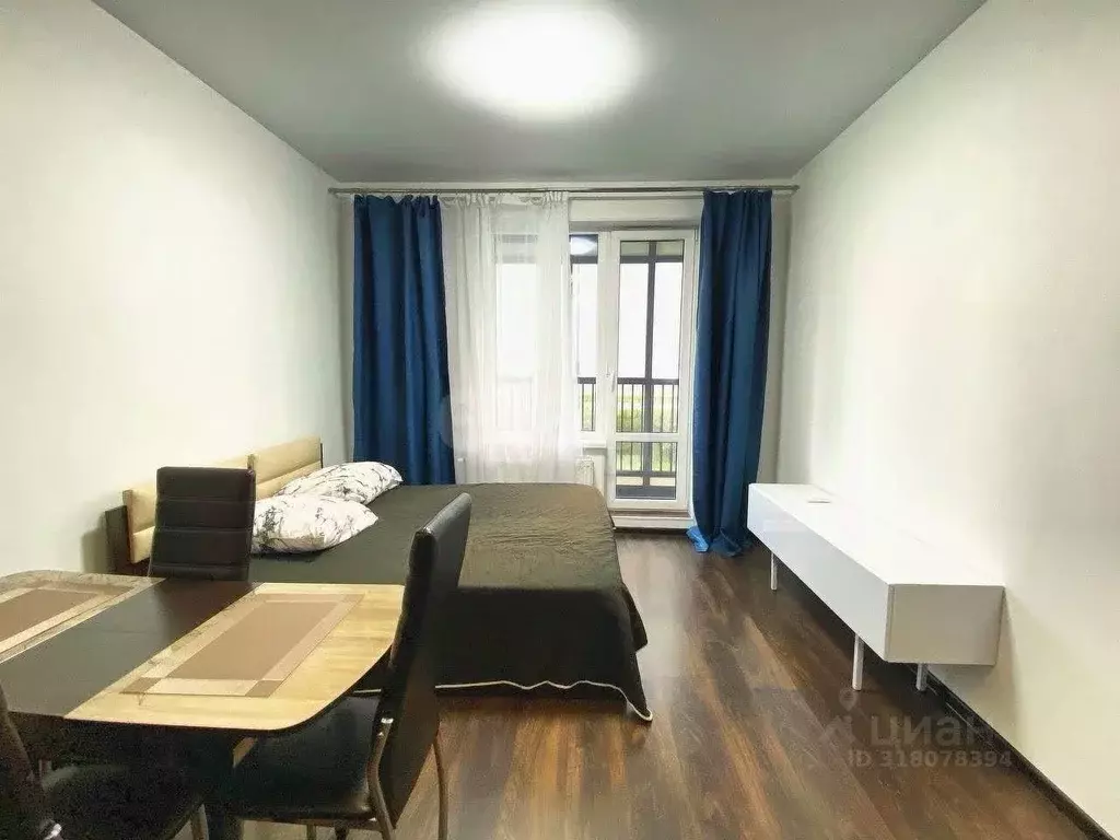 Студия Санкт-Петербург Фарфоровская ул., 7к1 (24.6 м) - Фото 1