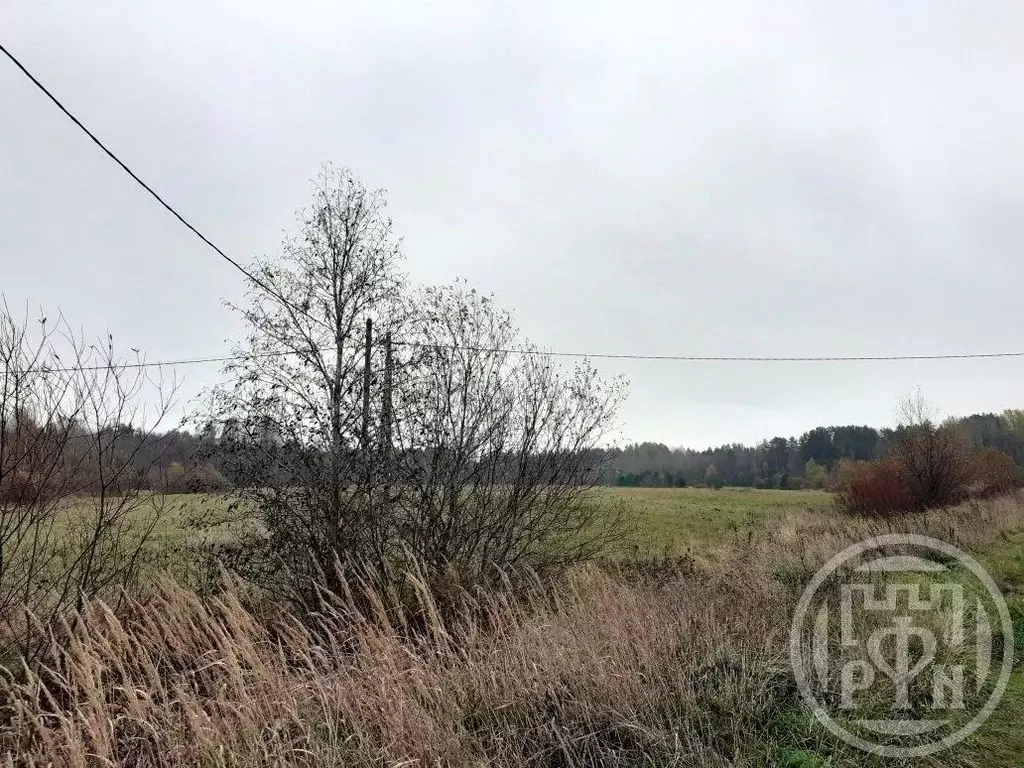 Участок в Ленинградская область, Выборгский район, Полянское с/пос, ... - Фото 2