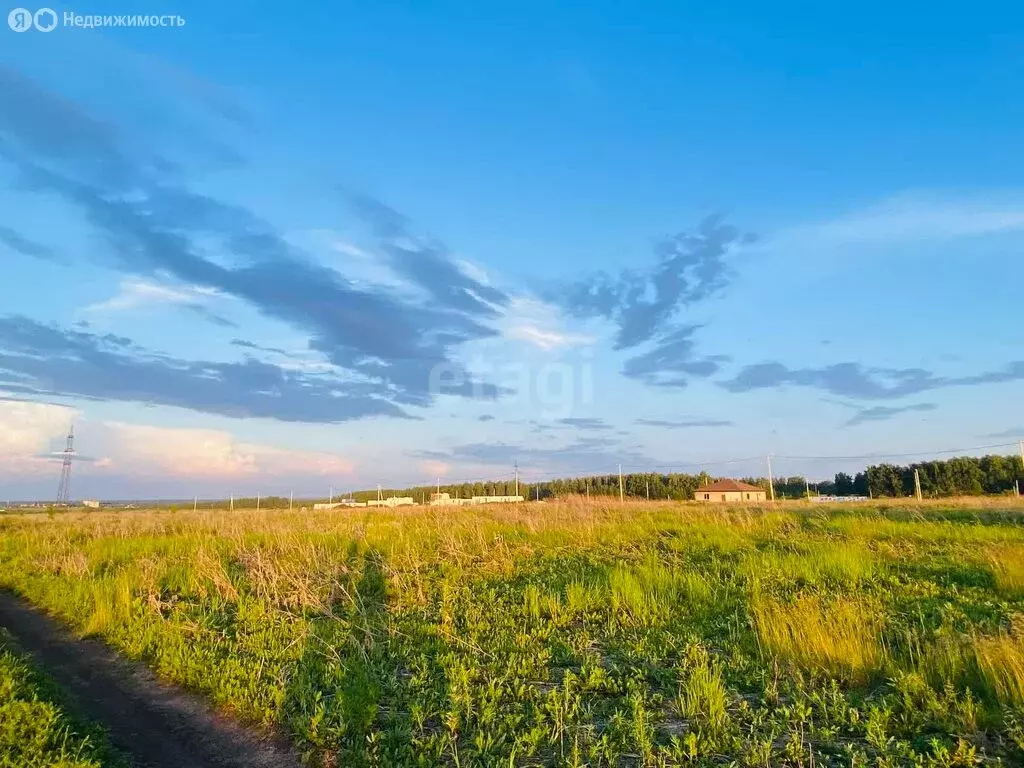 Участок в село Частая Дубрава, коттеджный посёлок Новая Дубрава, Ясная ... - Фото 1