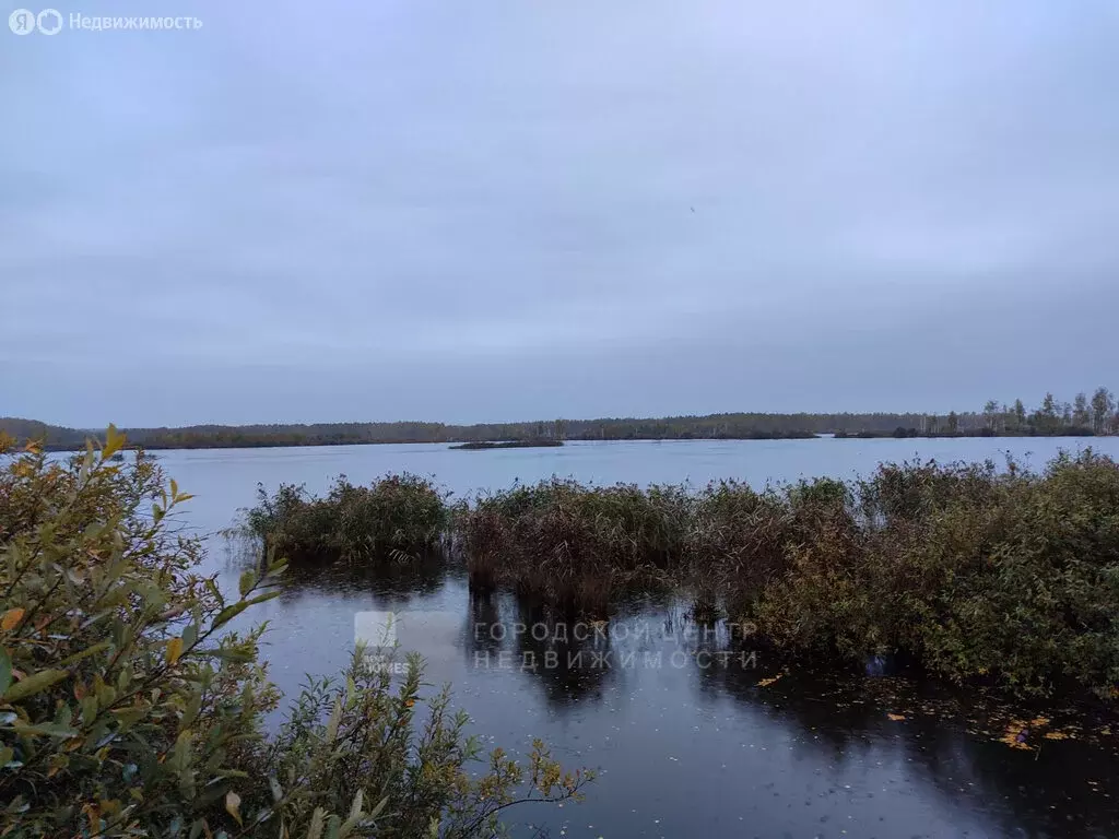 Участок в Московская область, городской округ Шатура, посёлок ... - Фото 0