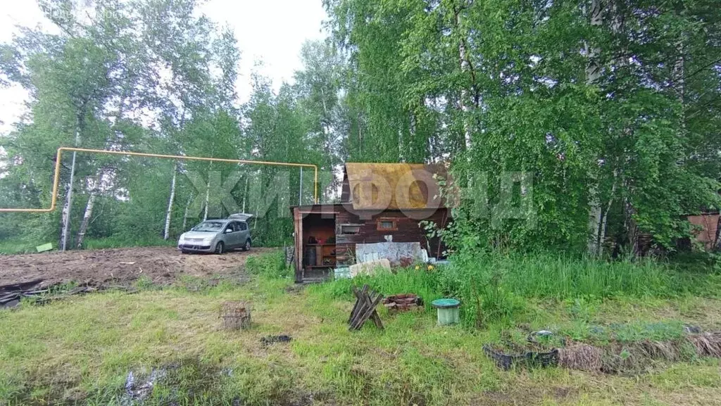 Участок в Новосибирск, СНТ Поляна (11.81 м) - Фото 1