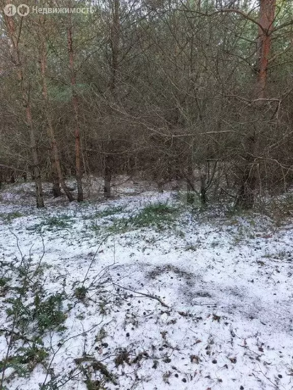 Участок в Калининградская область, Балтийск (6.1 м) - Фото 2