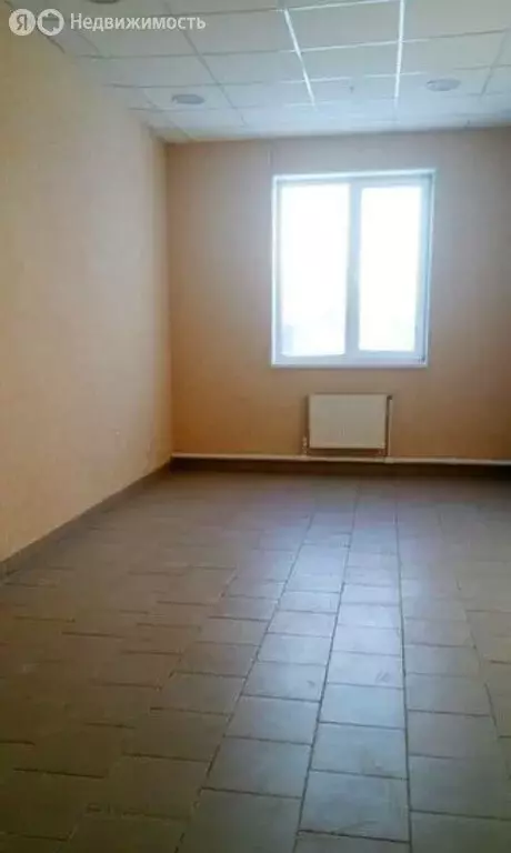 Помещение свободного назначения (19.6 м) - Фото 2