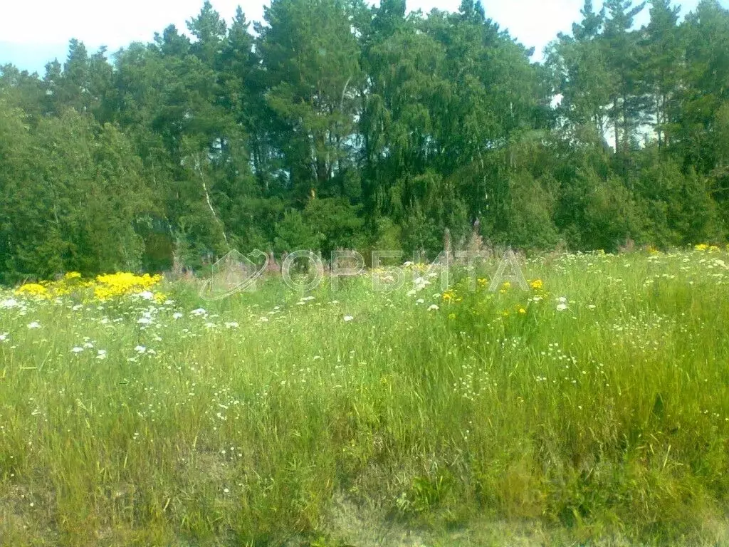 Участок в Тюменская область, Тюменский муниципальный округ, с. ... - Фото 1