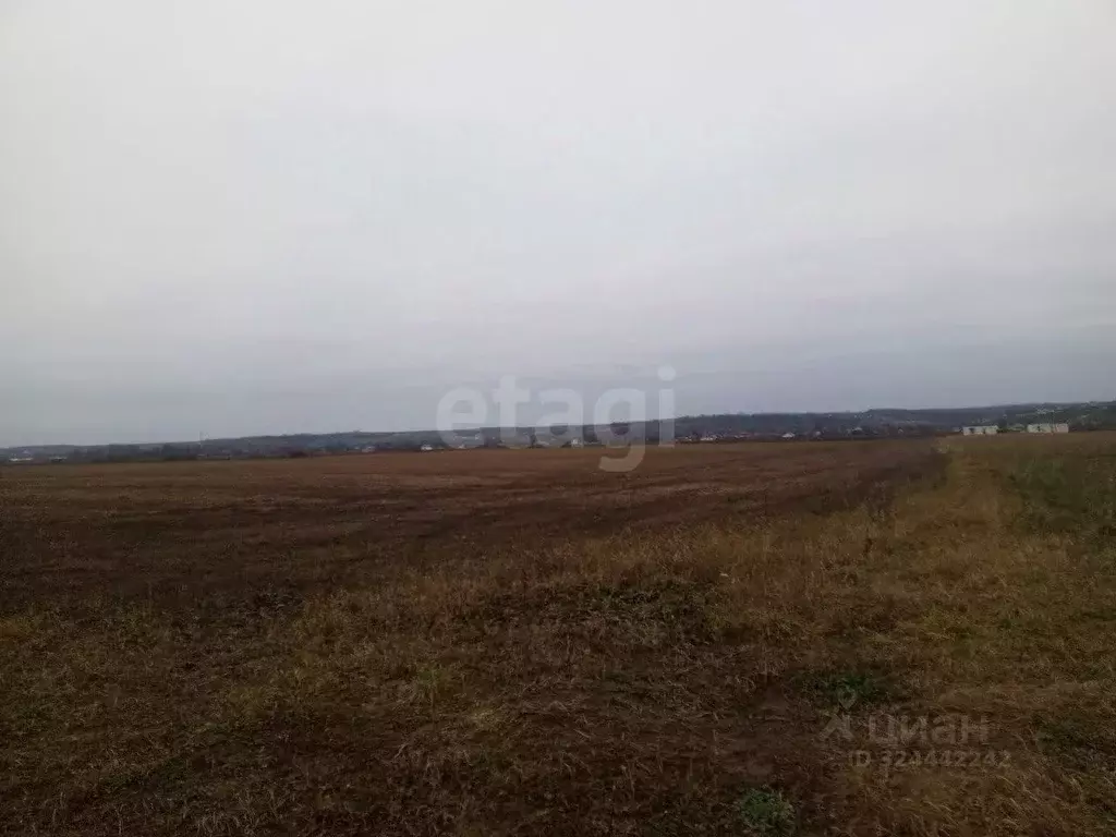 Участок в Курская область, Курский район, Полянский сельсовет, с. ... - Фото 1