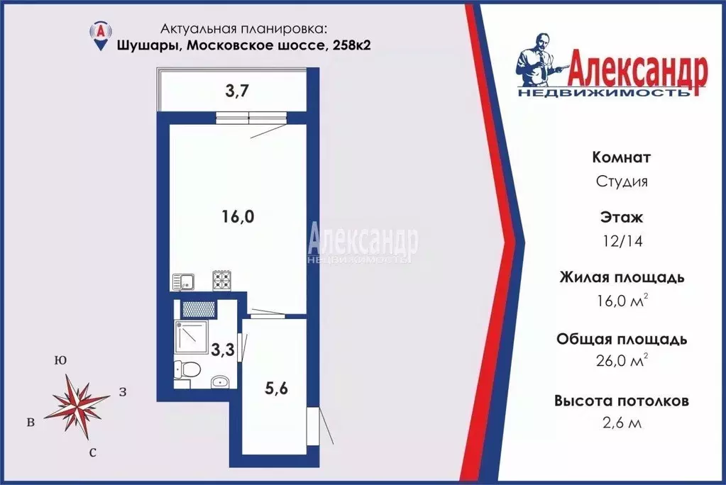 Студия Санкт-Петербург пос. Шушары, Московское ш., 258к2 (27.1 м) - Фото 1