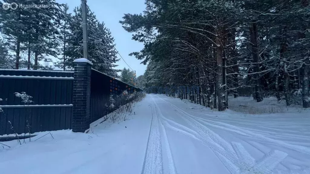 Участок в Нижегородская область, Городецкий муниципальный округ, ... - Фото 1