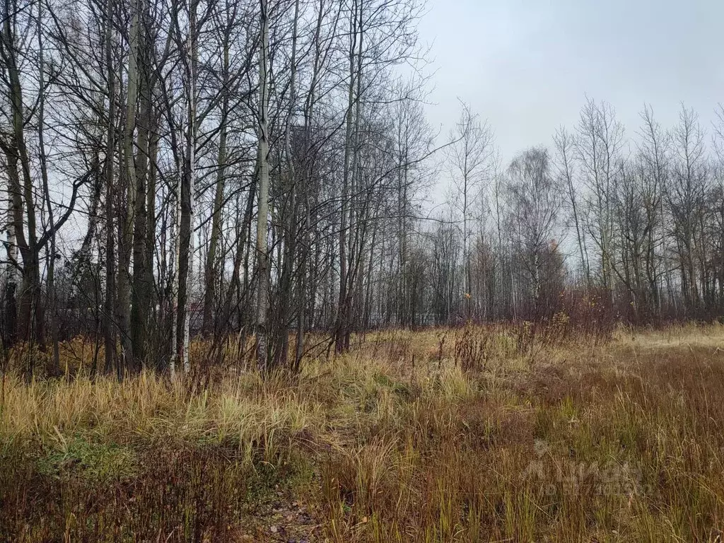 Участок в Московская область, Ликино-Дулево Орехово-Зуевский городской ... - Фото 1