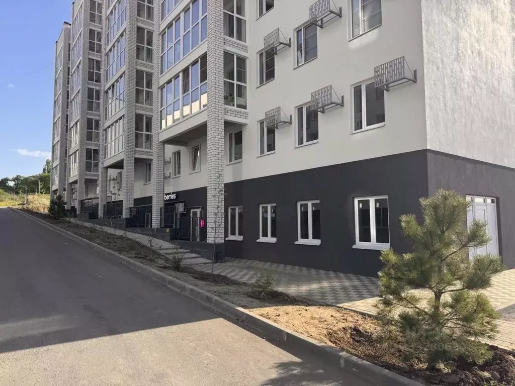 Помещение свободного назначения в Волгоградская область, Волгоград ... - Фото 1