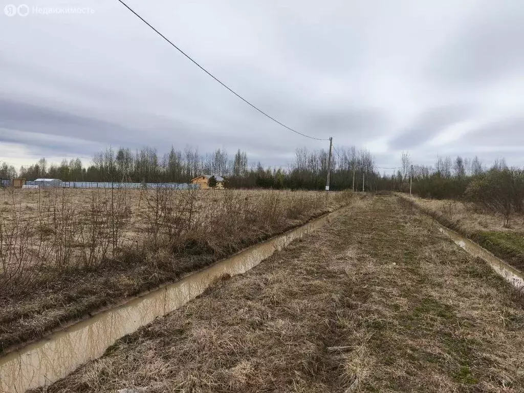 Участок в Новгородский муниципальный район, Ракомское сельское ... - Фото 1