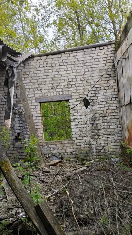 Помещение свободного назначения в Владимирская область, Вязниковский ... - Фото 1
