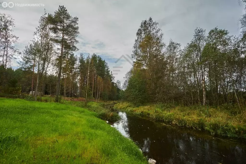 Дом в Приозерский район, Раздольевское сельское поселение, деревня ... - Фото 2