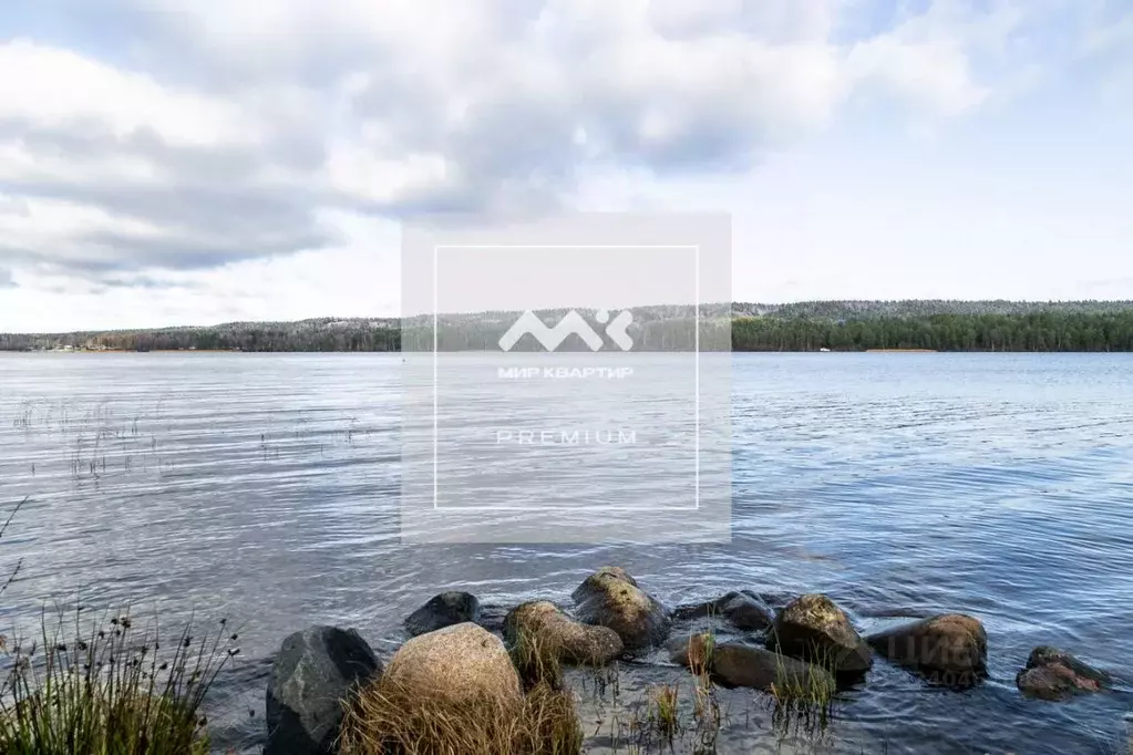 Участок в Ленинградская область, Выборгский район, Рощинское городское ... - Фото 1