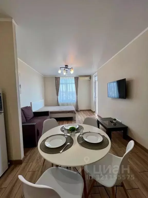 1-к кв. Краснодарский край, Сочи Виноградная ул., 22/1А (36.0 м) - Фото 2
