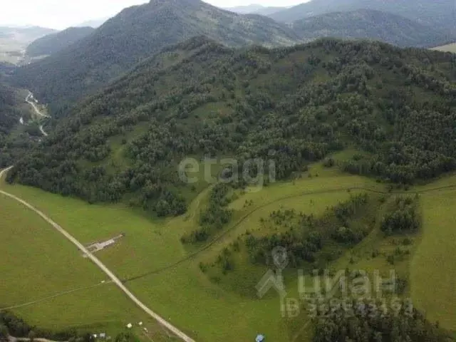 Участок в Алтай, Усть-Канский район, с. Верх-Ябоган ул. Ойношева ... - Фото 2