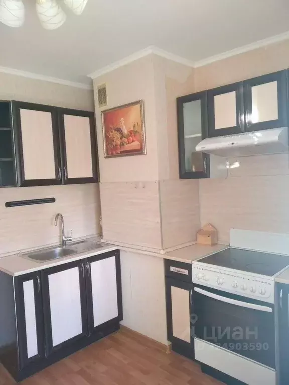 1-к кв. Санкт-Петербург ул. Хошимина, 13к1 (30.0 м) - Фото 1