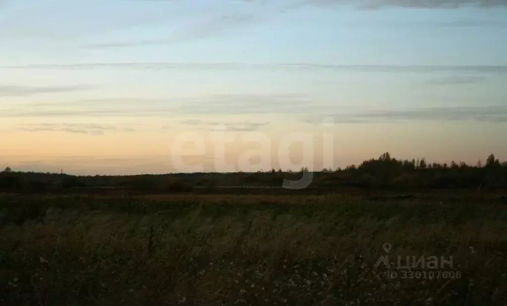 Участок в Тюменская область, Тюмень Рябинка-2 садовое товарищество,  ... - Фото 1