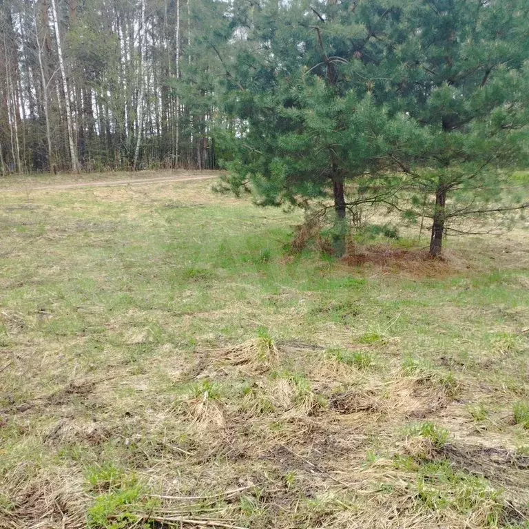 Участок 25 сот. (ИЖС) - Фото 0