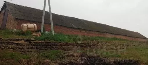 Гараж в Пензенская область, Бессоновский район, с. Александровка ... - Фото 1