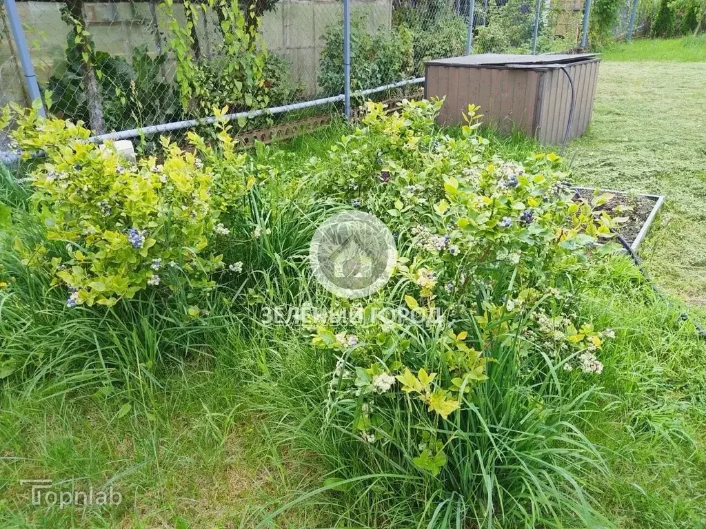 Участок в Калининградская область, Калининград 40 лет Победы СНТ, ул. ... - Фото 2