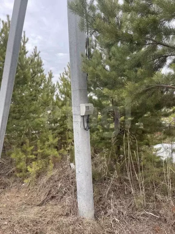 Участок в Тюменская область, Тюменский муниципальный округ, Лоза СНТ ... - Фото 1