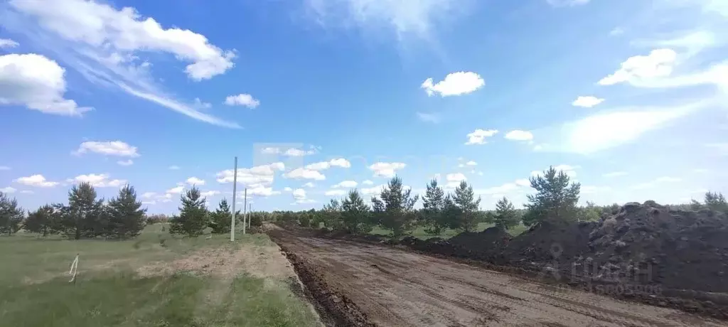 Участок в Алтайский край, Первомайский район, с. Фирсово, Рощино мкр ... - Фото 0