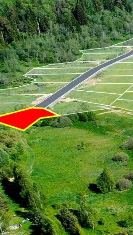 Участок в Московская область, Рузский муниципальный округ, д. Бельково ... - Фото 1