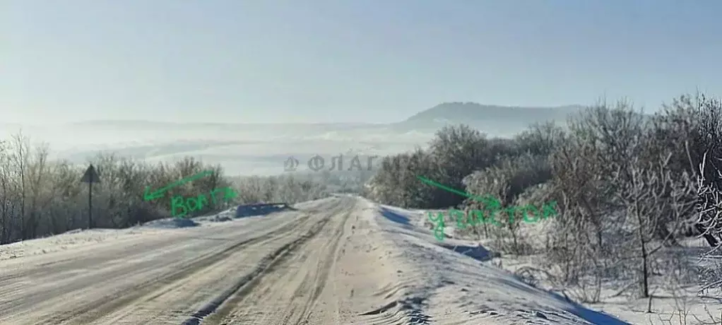 Участок в Саратовская область, Хвалынск муниципальное образование, с. ... - Фото 1