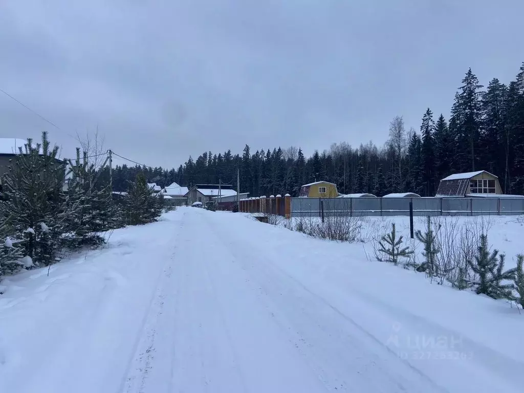 Участок в Ленинградская область, Сосновый Бор Медик кп, ул. Лесная ... - Фото 2
