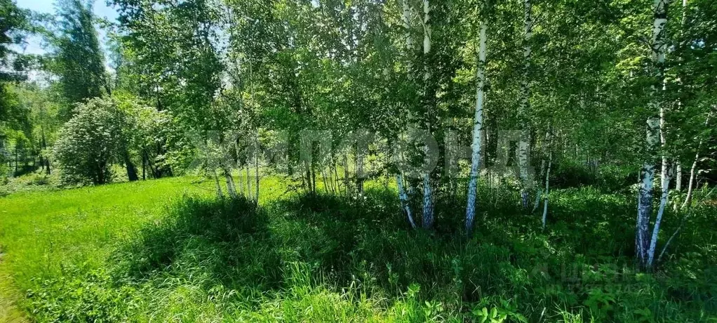 Участок в Новосибирская область, Искитимский район, Морозовский ... - Фото 2