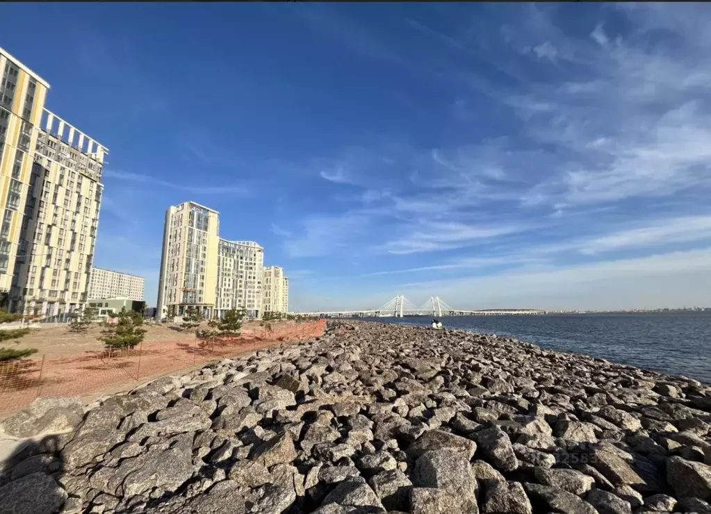 2-к кв. Санкт-Петербург наб. Миклухо-Маклая, 3к1 (67.0 м) - Фото 1