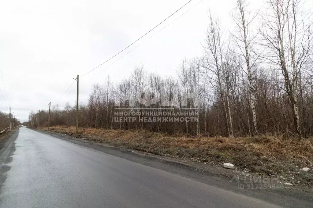 Участок в Карелия, Кондопожский район, Янишпольское с/пос, с. Янишполе ... - Фото 0