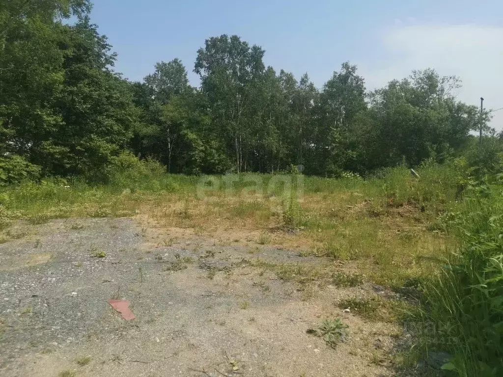 Участок в Сахалинская область, Южно-Сахалинск Восток СНТ, ул. ... - Фото 1