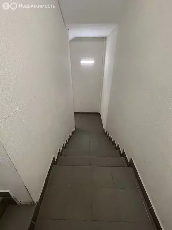 Помещение свободного назначения (82 м) - Фото 1