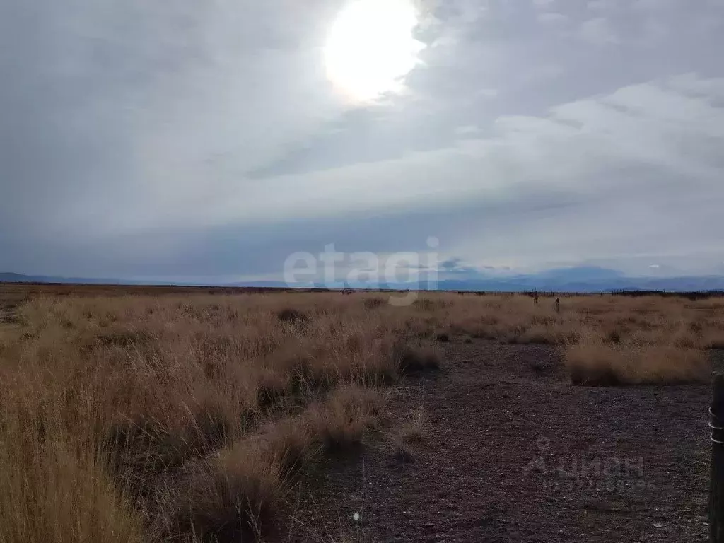 Участок в Алтай, с. Кош-Агач пл. Ленина (3347.06 сот.) - Фото 1