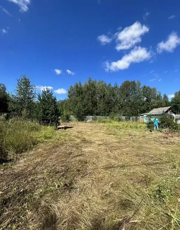 Участок в Московская область, Орехово-Зуевский городской округ, пос. ... - Фото 2