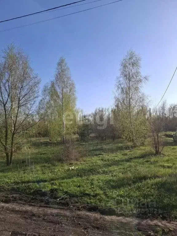 Участок в Воронежская область, Воронеж Дубрава СНТ, ул. Березовая ... - Фото 1