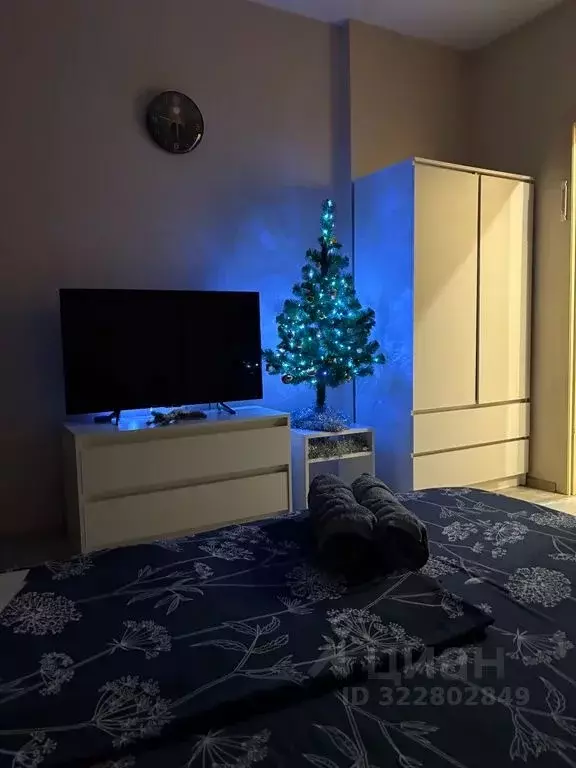 1-к кв. Московская область, Лосино-Петровский городской округ, ... - Фото 2