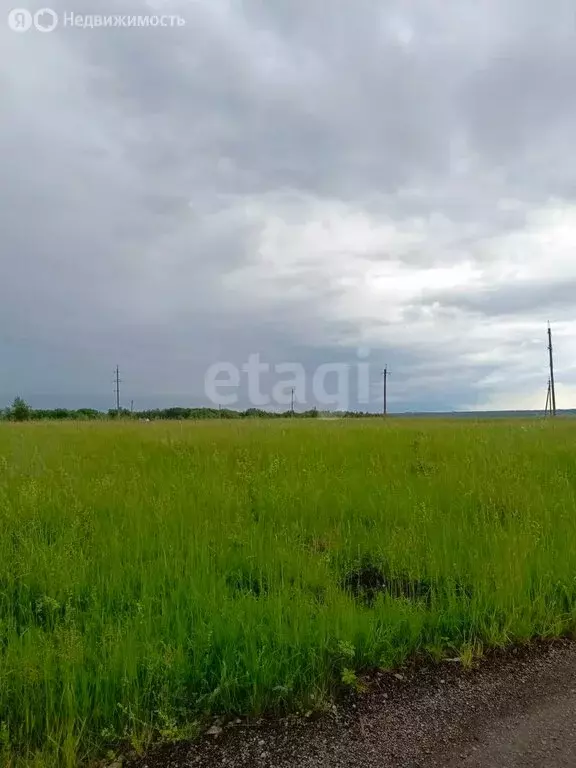 Участок в Киреевский район, муниципальное образование Бородинское, ... - Фото 1