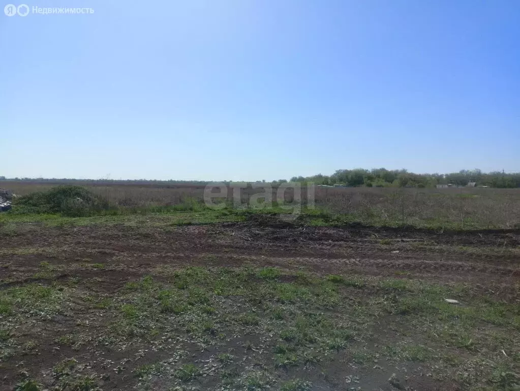 Участок в Энгельсский район, Новопушкинское муниципальное образование, ... - Фото 1