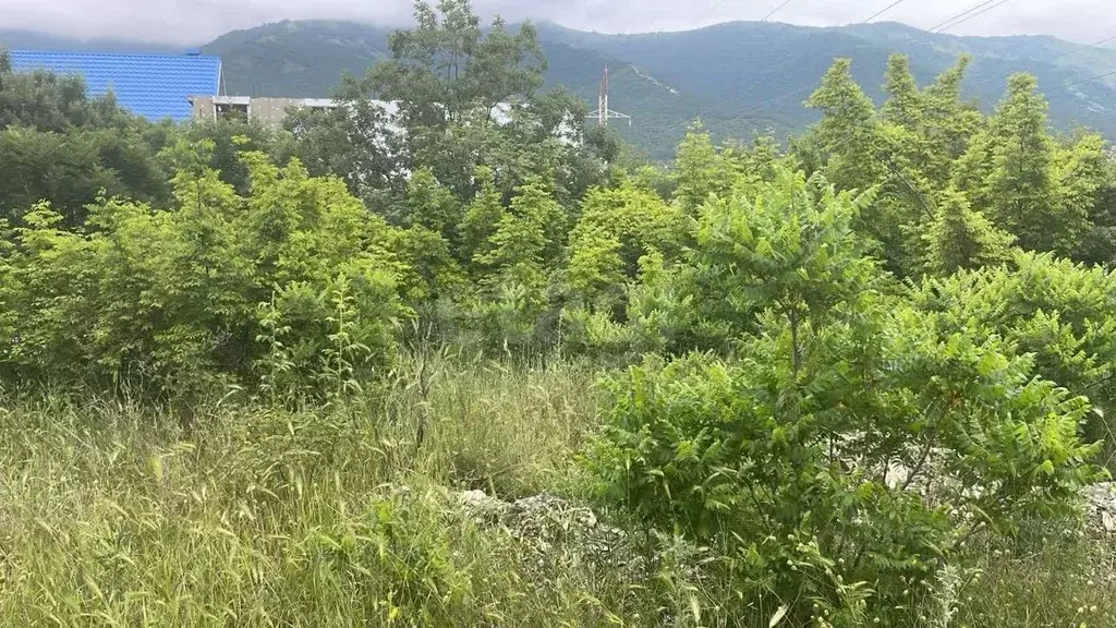 Участок в Краснодарский край, Геленджик Марьинский мкр,  (6.34 сот.) - Фото 1