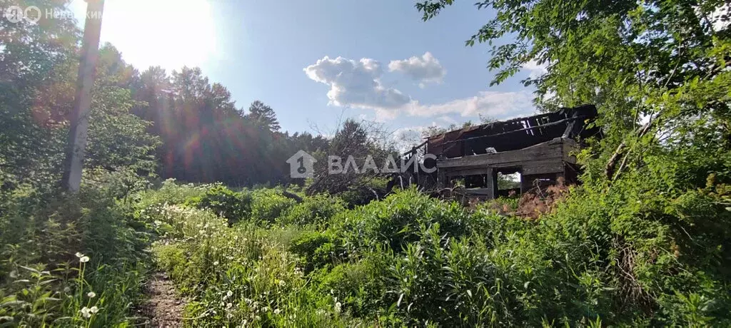Участок в село Силино, Заречная улица, 17 (16.65 м) - Фото 1