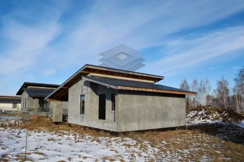 Коттедж в Омская область, Омский район муниципальный округ, с. Дружино ... - Фото 1