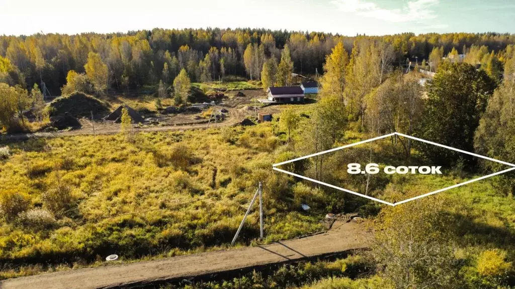 Участок в Ленинградская область, Ломоносовский район, Большая Ижора ... - Фото 1