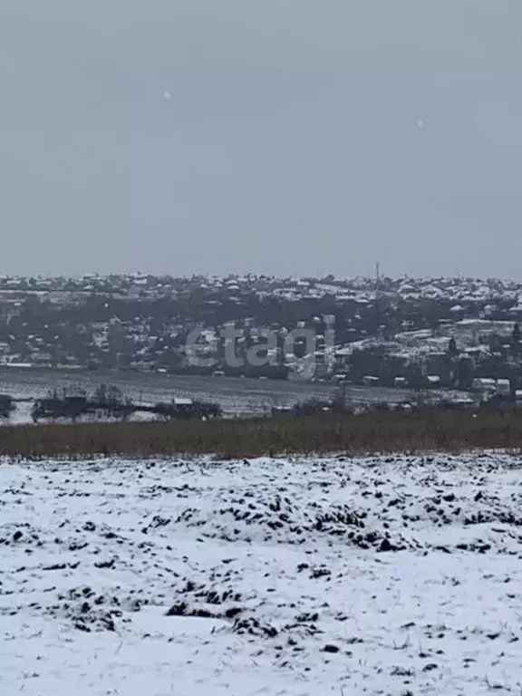 Участок в Белгородская область, Белгородский район, Головинское с/пос, ... - Фото 2