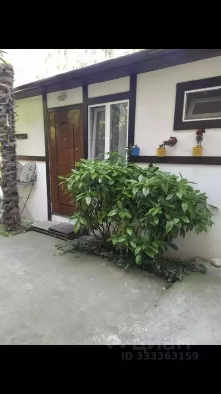 Студия Крым, Ялта ул. Чехова, 25 (17.0 м) - Фото 2