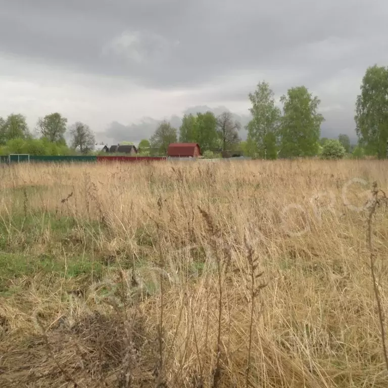 Участок в Владимирская область, Киржачский район, д. Финеево  (15.0 ... - Фото 1