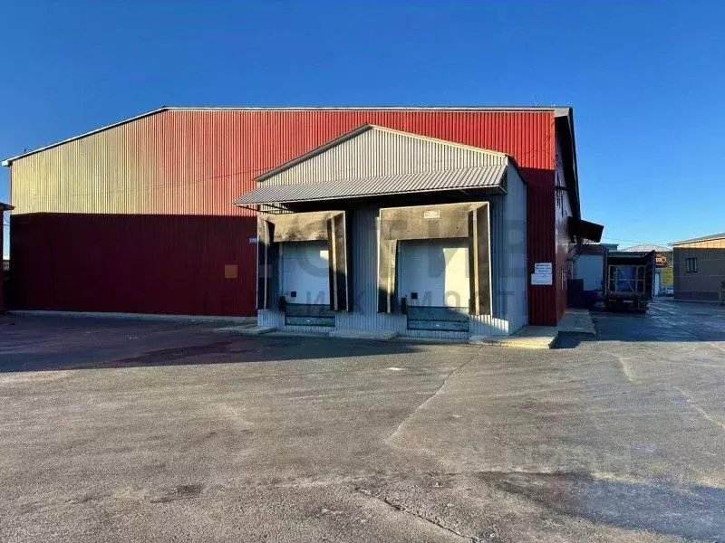 Склад в Тюменская область, Тюмень Матмасы мкр, ул. Пражская, 19 (2420 ... - Фото 2