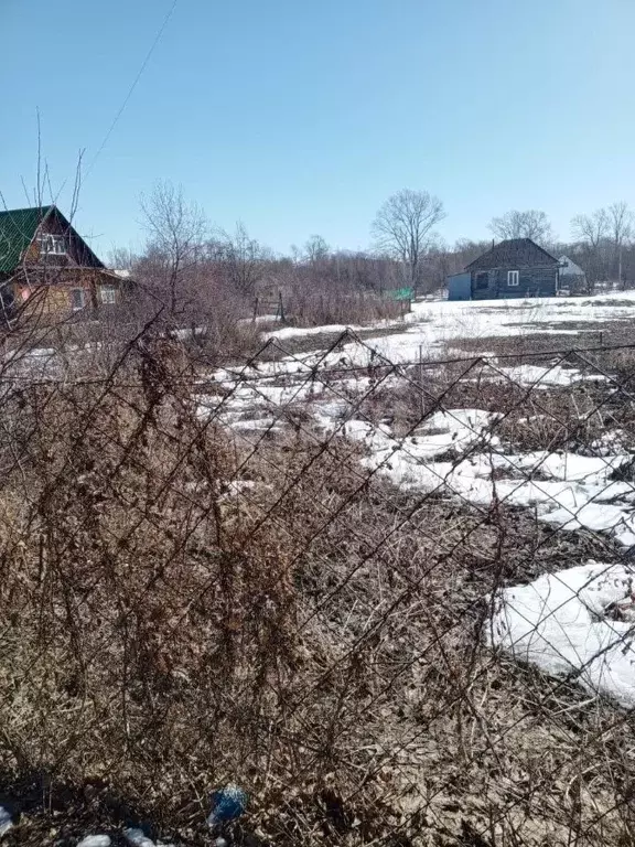 Участок в Алтайский край, Алтайский район, с. Алтайское ул. ... - Фото 1